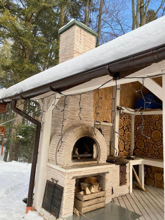 Chalet Mlyn Migovo Εξωτερικό φωτογραφία