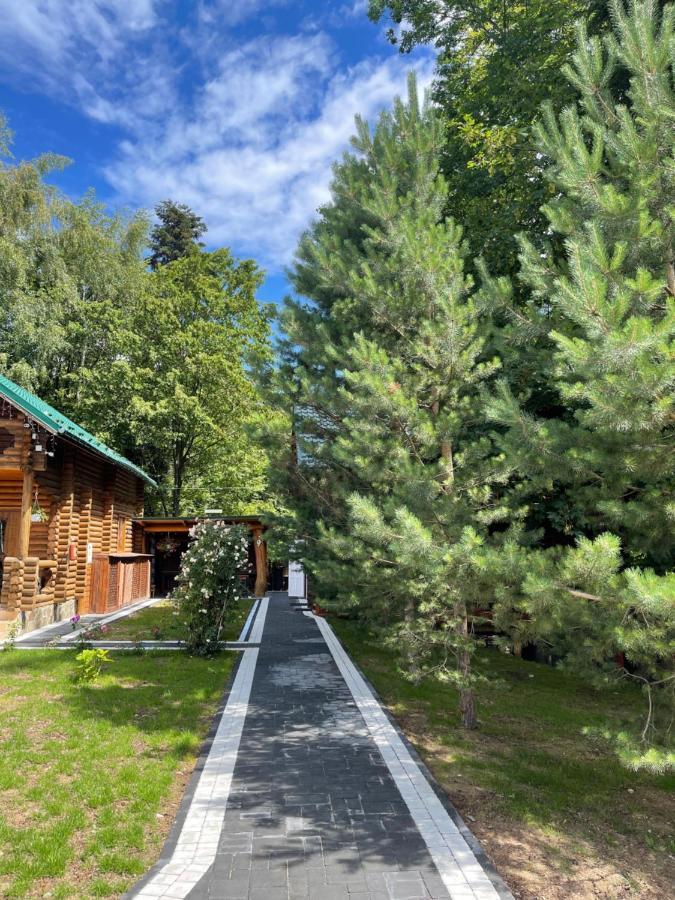Chalet Mlyn Migovo Εξωτερικό φωτογραφία